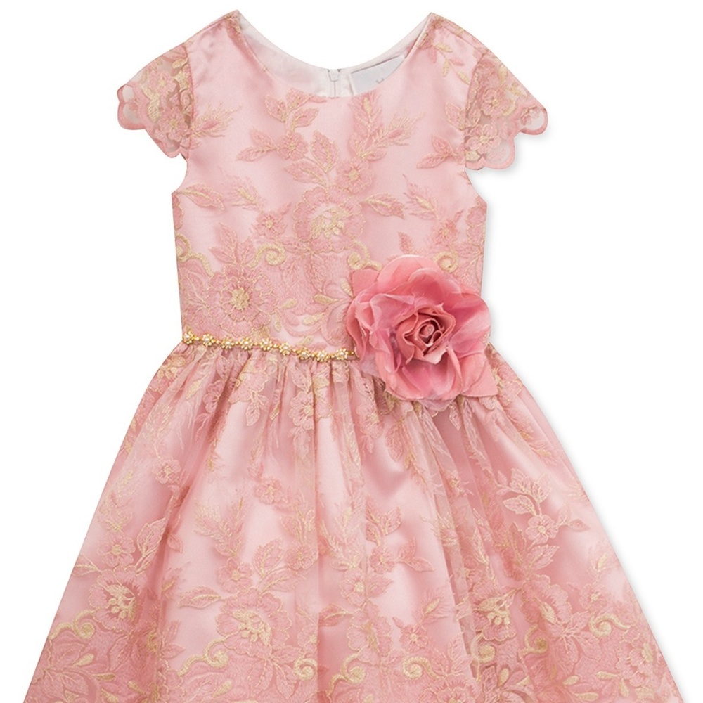 Floral Embroidered Party Dress